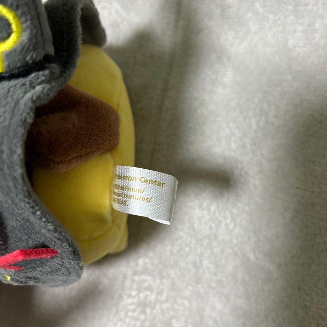 黒いレックウザポンチョ　ピカチュウ