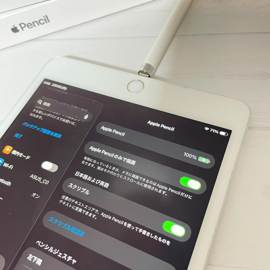 動作確認済み【純正品】Apple Pencil 第一世代 本体＋付属品セット