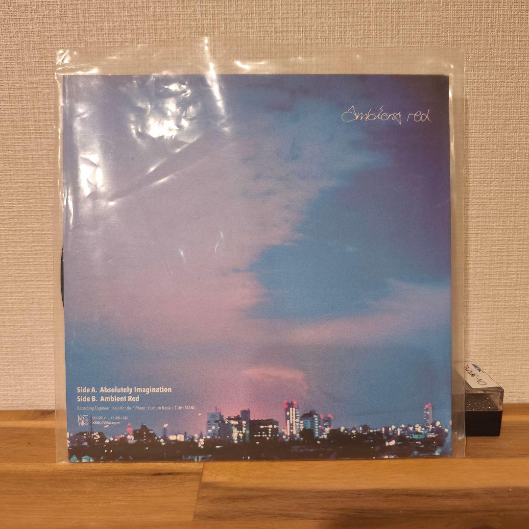 邦楽 GEZAN Absolutely Imagination 7inch