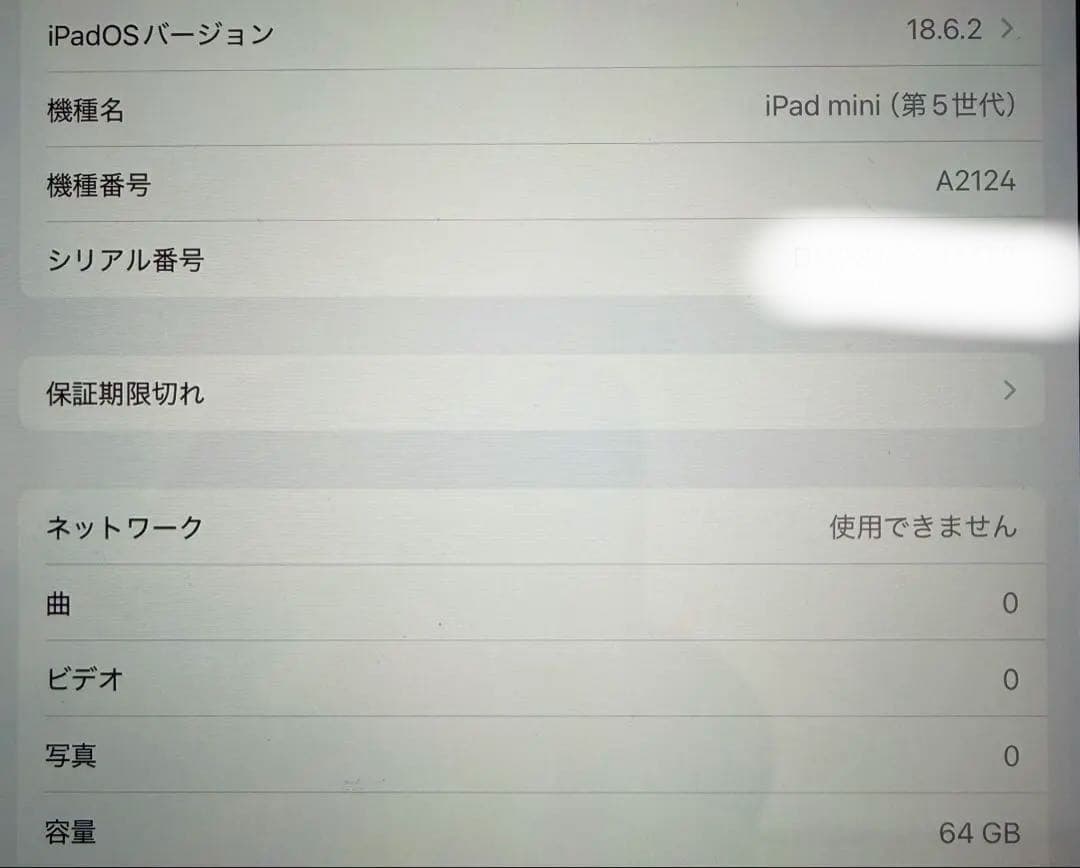 iPad mini 第5世代 64GB シルバー au A2124 美品