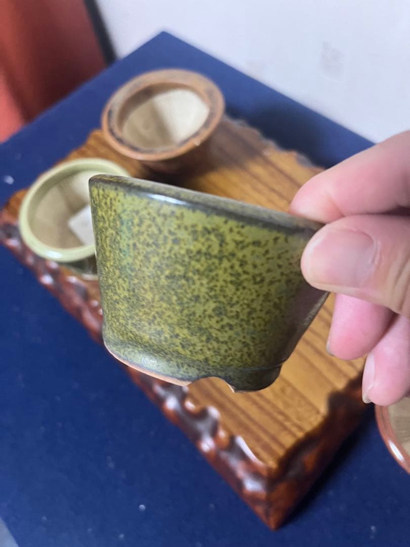 389 盆栽　盆栽鉢　植木鉢　和鉢　左楽　4鉢