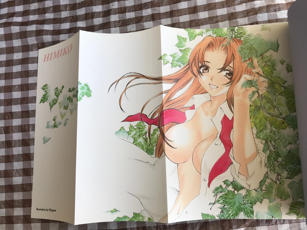 PS 火魅子伝　攻略本セット 公式ガイドブック ファンブック 原画集 大暮維人