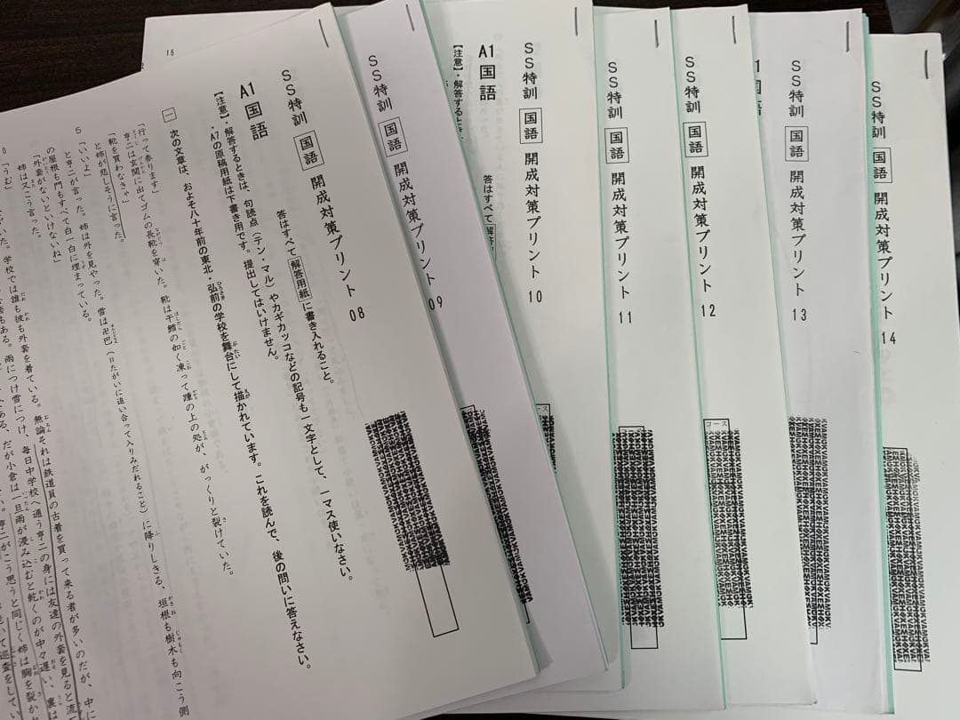 【お値下げ】サピックス SAPIX開成 SS特訓・夏期志・冬期・正月特訓