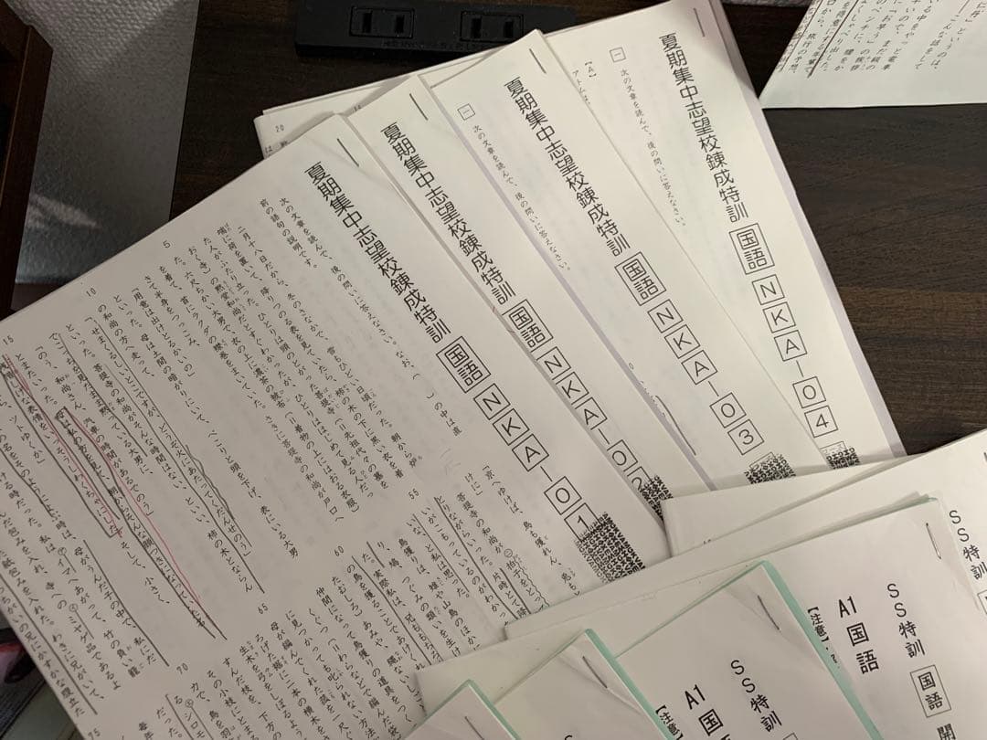 【お値下げ】サピックス SAPIX開成 SS特訓・夏期志・冬期・正月特訓