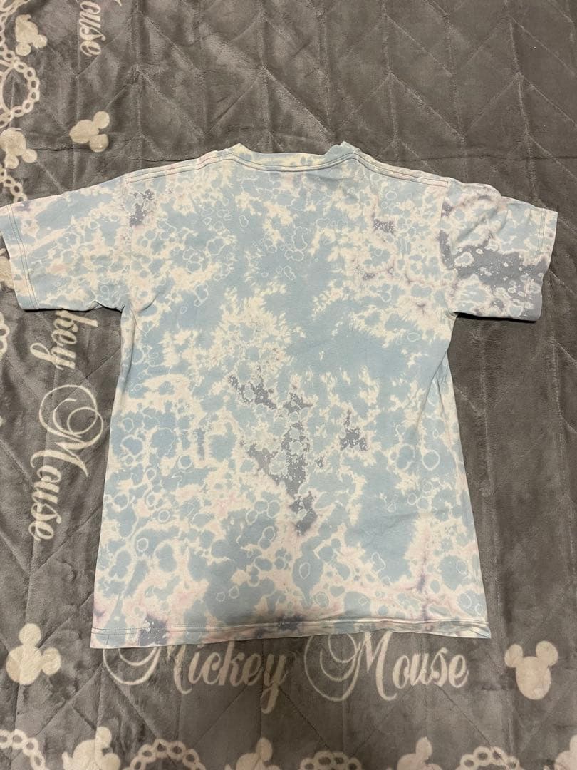00s ステューシー　名作　ローラ　Tシャツ