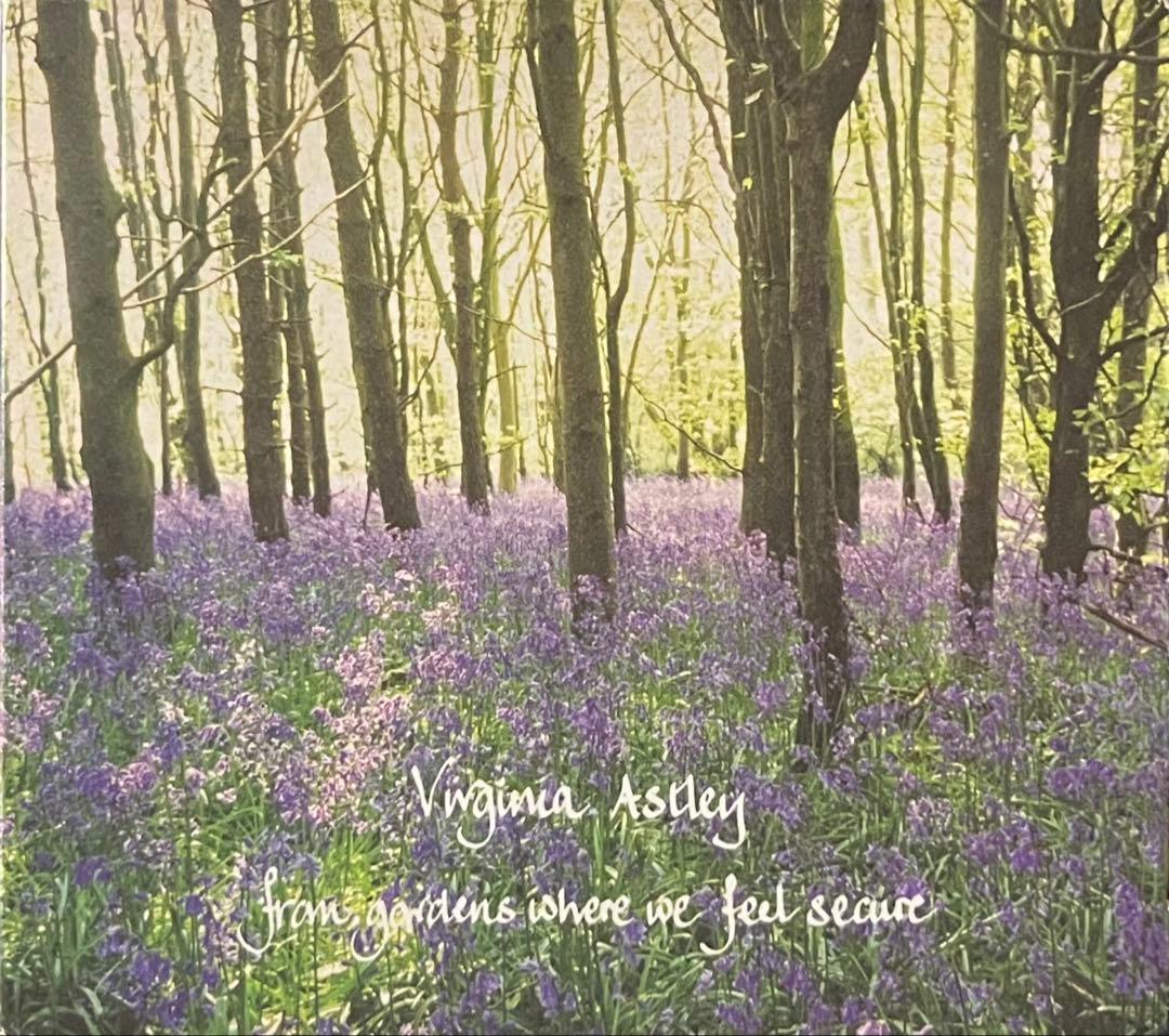 Virginia Astley ヴァージニア・アストレイ Rough Trade