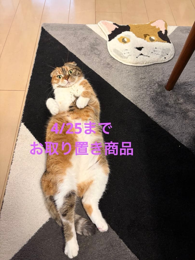 ねこ刺繍レッスン　hiroko著
