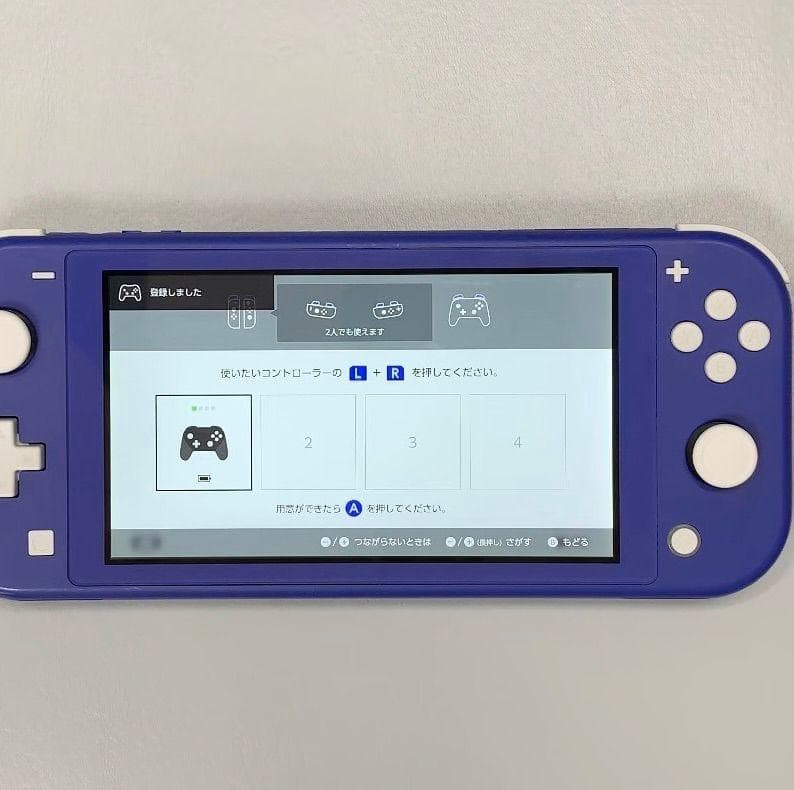 Nintendo Switch Lite 本体 動作品