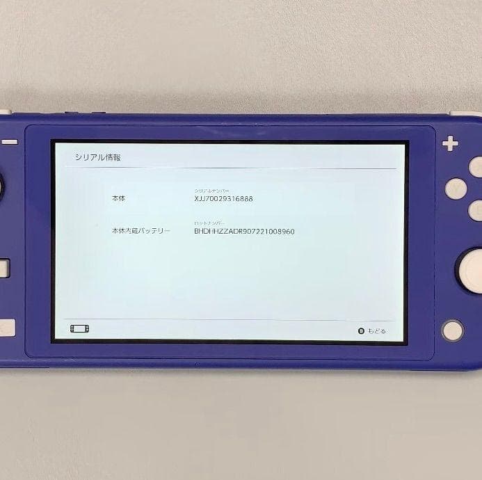 Nintendo Switch Lite 本体 動作品