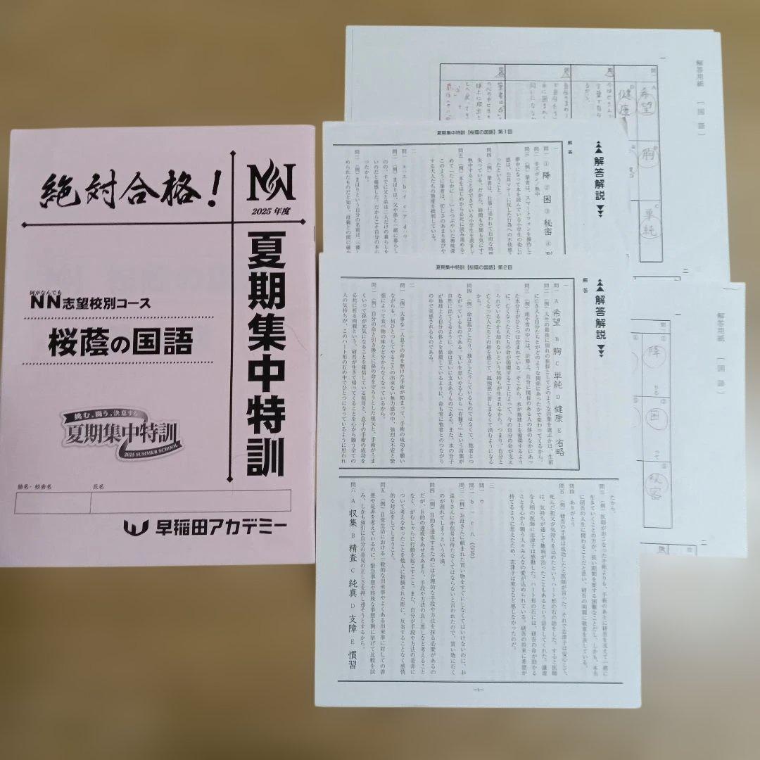早稲田アカデミー　夏期集中特訓　桜蔭の国算理社　2025年度