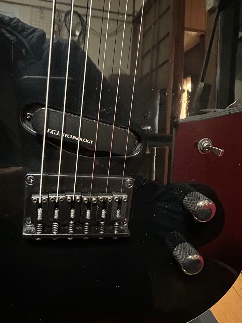 FERNANDES　TEJ-70　F.G.I. テクノロジー　アクティブPU