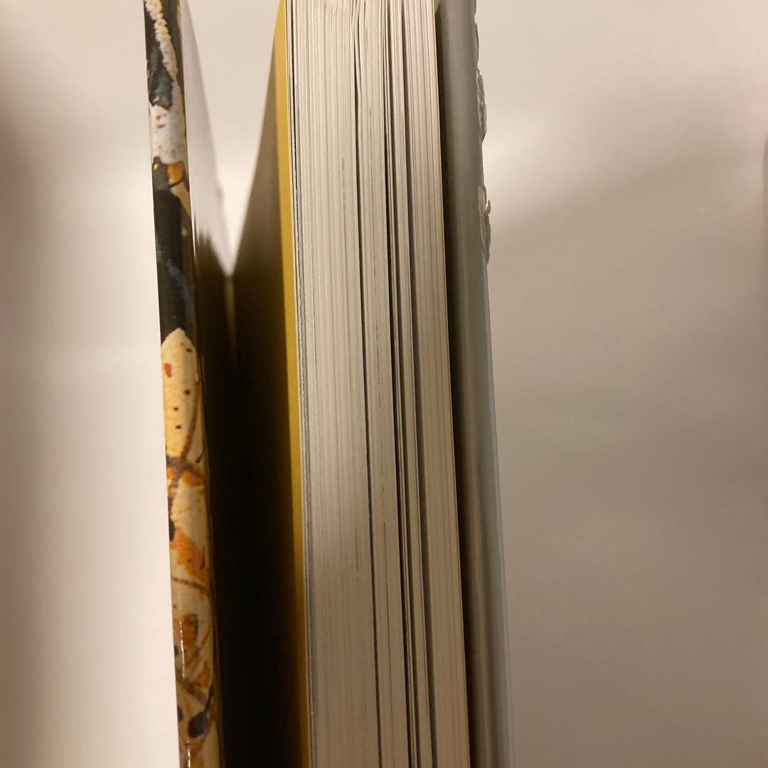 ジャクソン・ポロックJackson Pollock 洋書 作品 と生涯