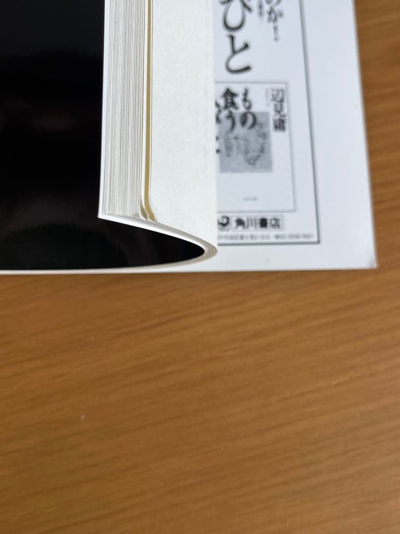 SHOAH 映画DVD 4枚セット　冊子付き