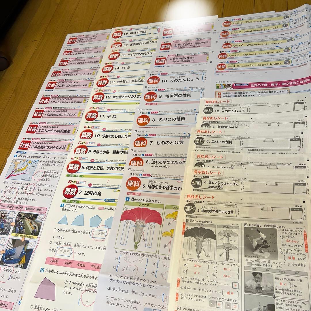 カラーテスト　5年　2,3学期