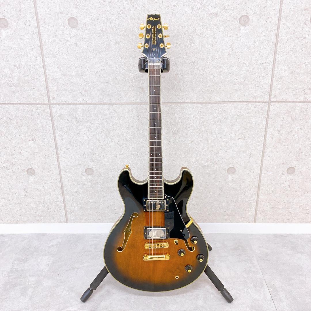 Aria Pro II TA-550　セミアコースティックギター／ソフトケース付