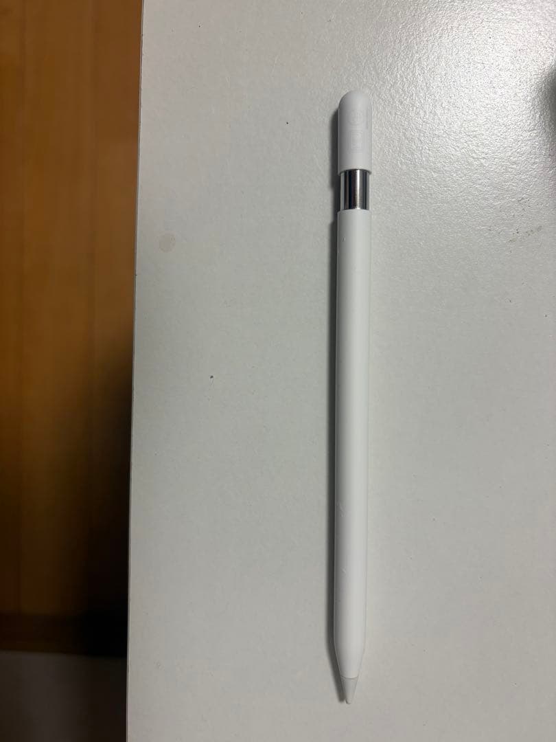 アップルペンシル Apple Pencil 【usb-c】