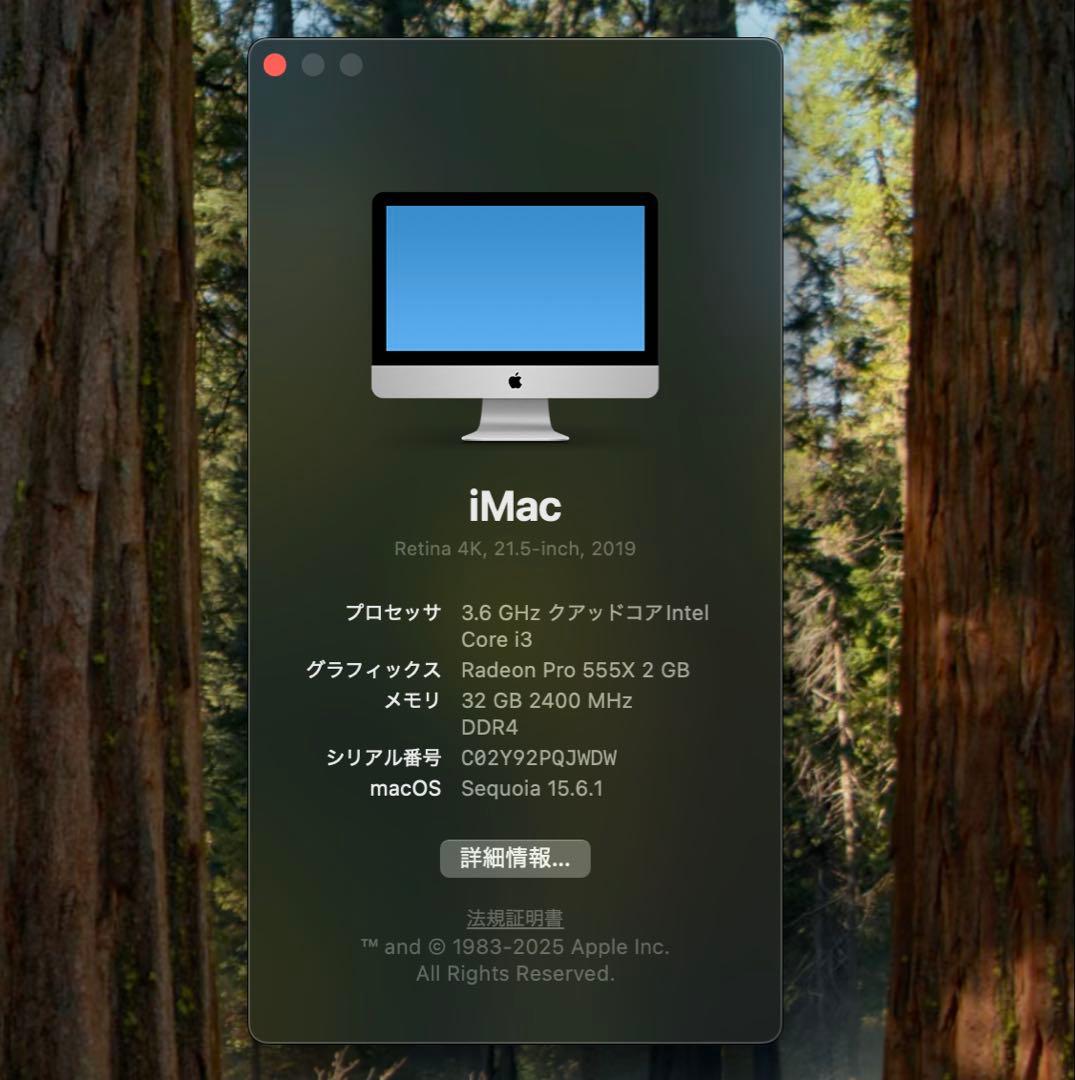 売り切り価格です！メモリ32GB / 1TB SSD✨iMac 21.5インチ
