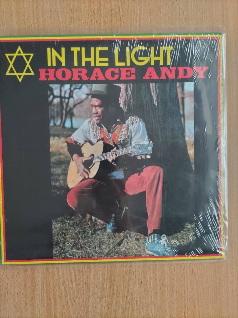 レゲエ・ダブのLP アナログ2枚セット