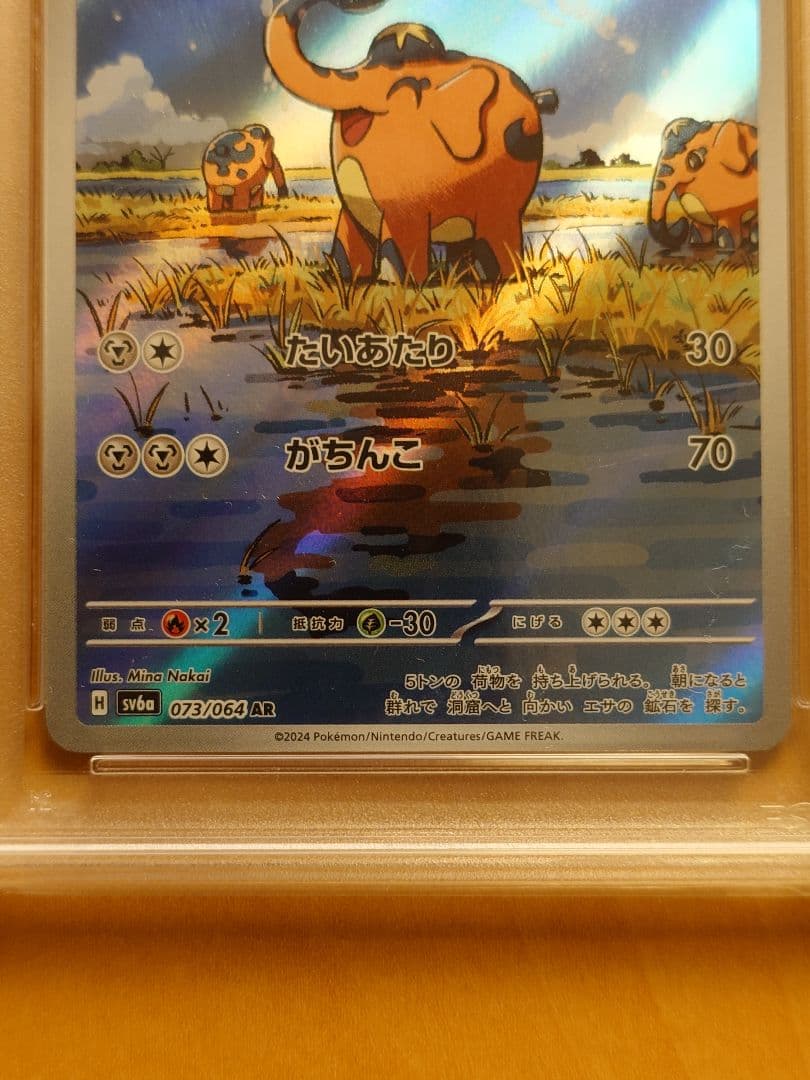 ゾウドウAR PSA10