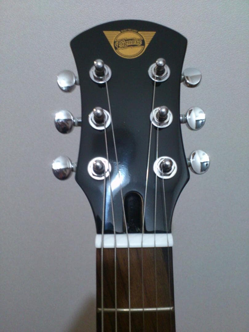 Pignose PGG-200 ブラウンサンバースト