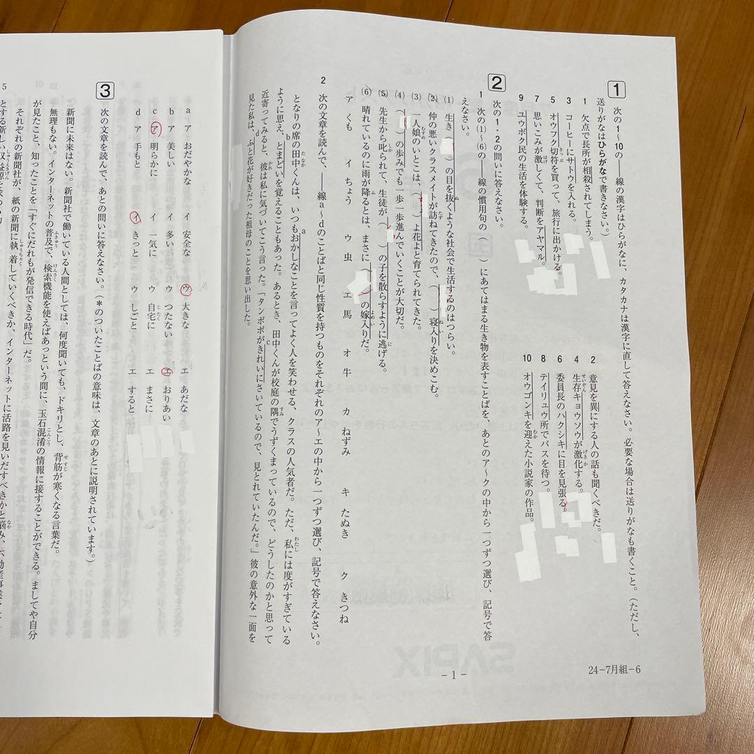 【最新版】SAPIX 6年 マンスリーテストフルセット2024年度全17回1年分