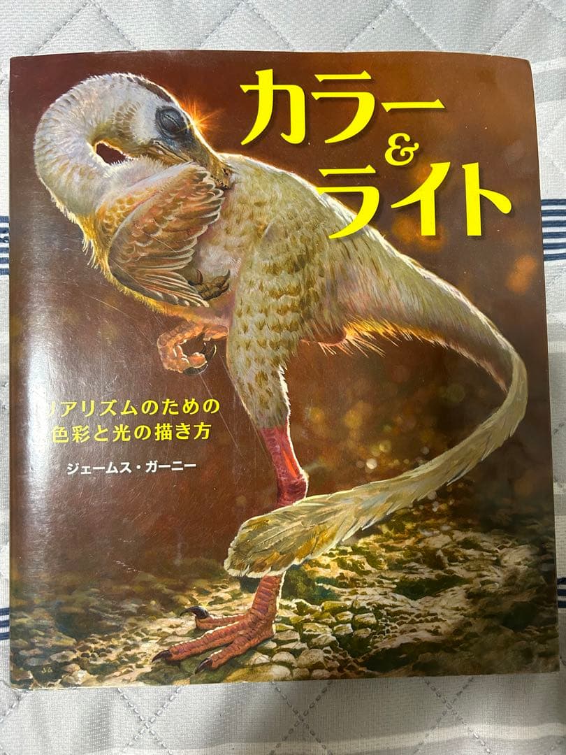ソッカの美術解剖学ノート　カラー&ライト　やさしい人物画　モルフォ人体デッサン