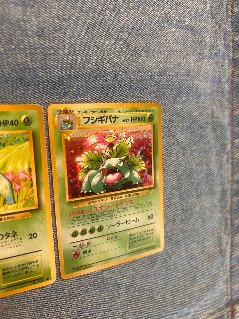 最終値下げ　フシギダネ　フシギバナ　旧裏　うずまきホロ　大玉ホロ