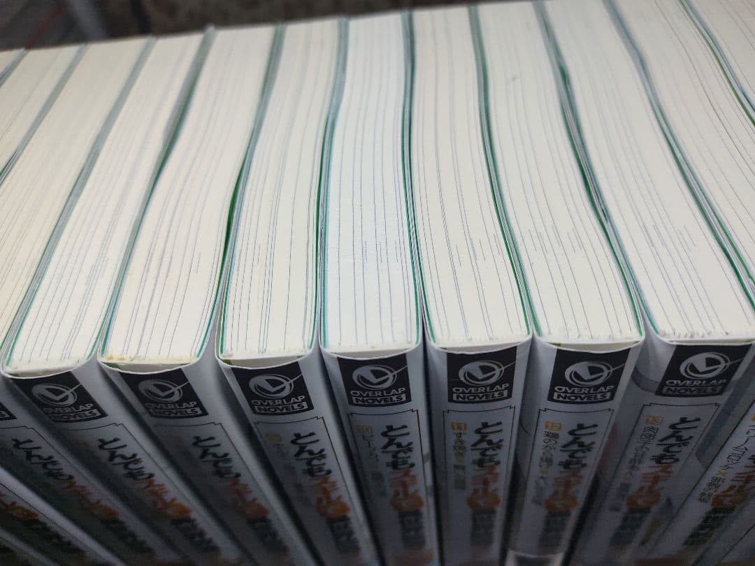 とんでもスキルで異世界放浪メシ　小説　1〜17巻　ライトノベル