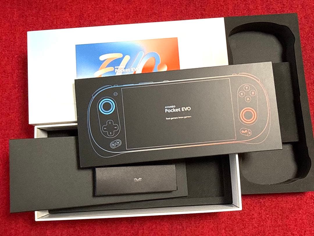 AYANEO Pocket EVO 24GB/1TB 中古美品 ケース付き