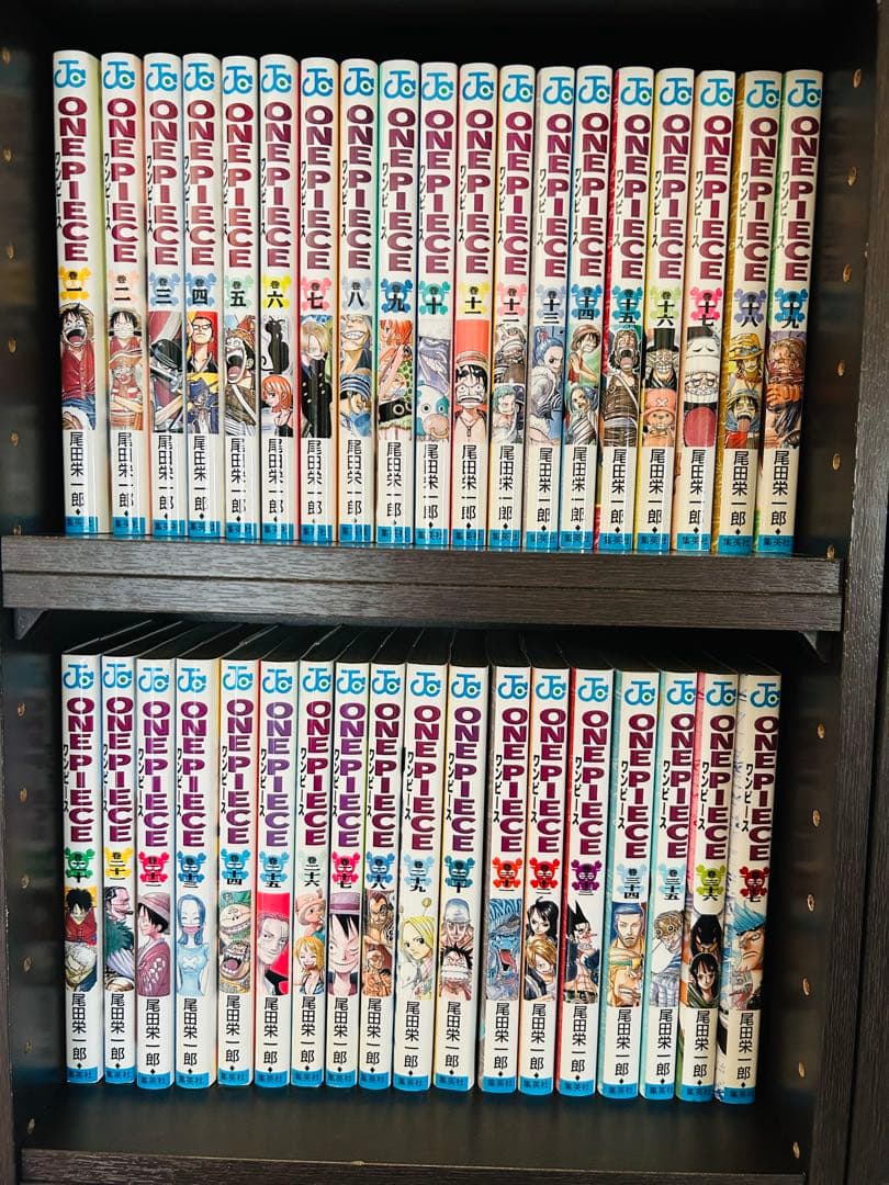 格安⭐︎単行本ワンピース110巻セット/少年ジャンプ連載⭐︎