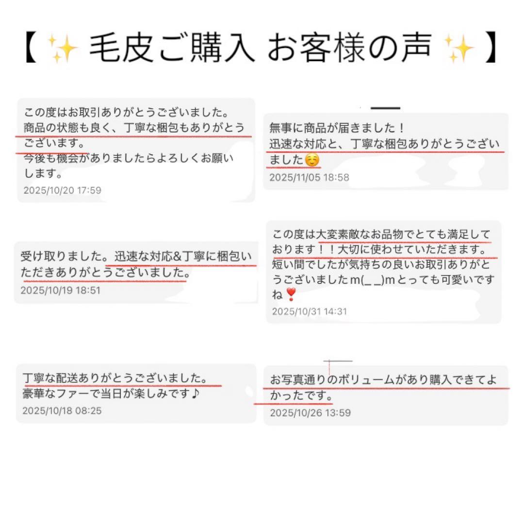 ✨未使用級✨　サガフォックス　本毛皮　ショール　マフラー　成人式　振袖　着物