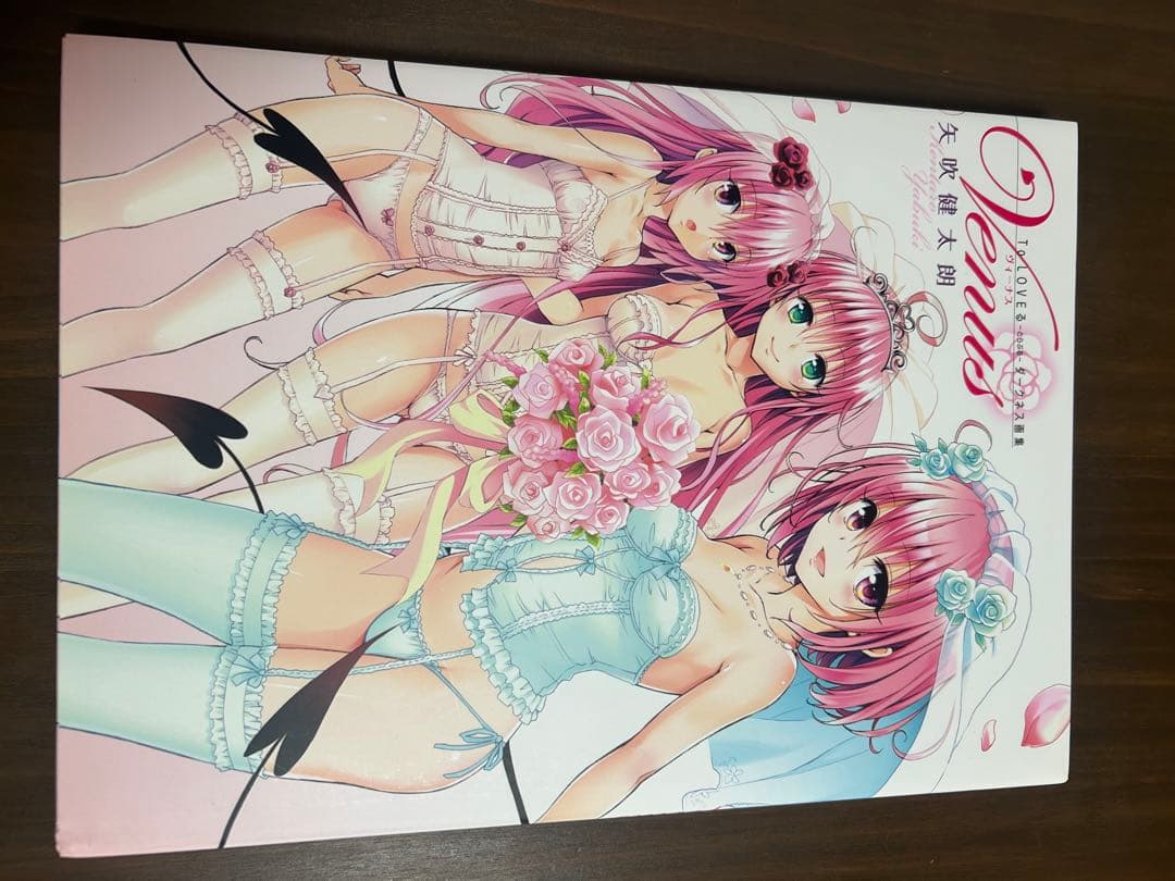 超美品ToLOVEるダークネス 全巻+3巻+画集