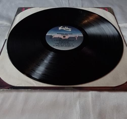 洋楽 BRONNER BROTHERS/FANTASY LP