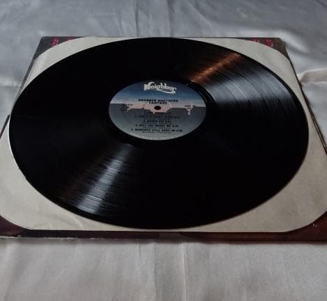 洋楽 BRONNER BROTHERS/FANTASY LP