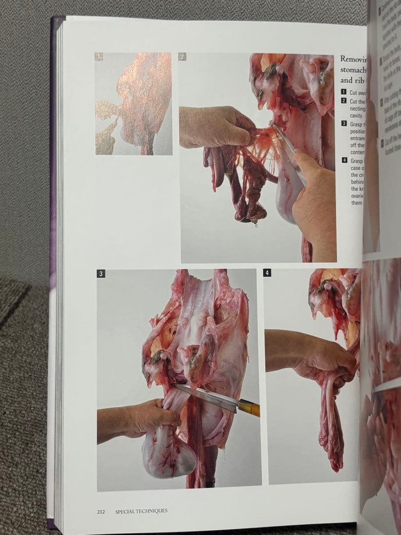 地図・旅行ガイド MUKOITA I Cutting Techniques Fish