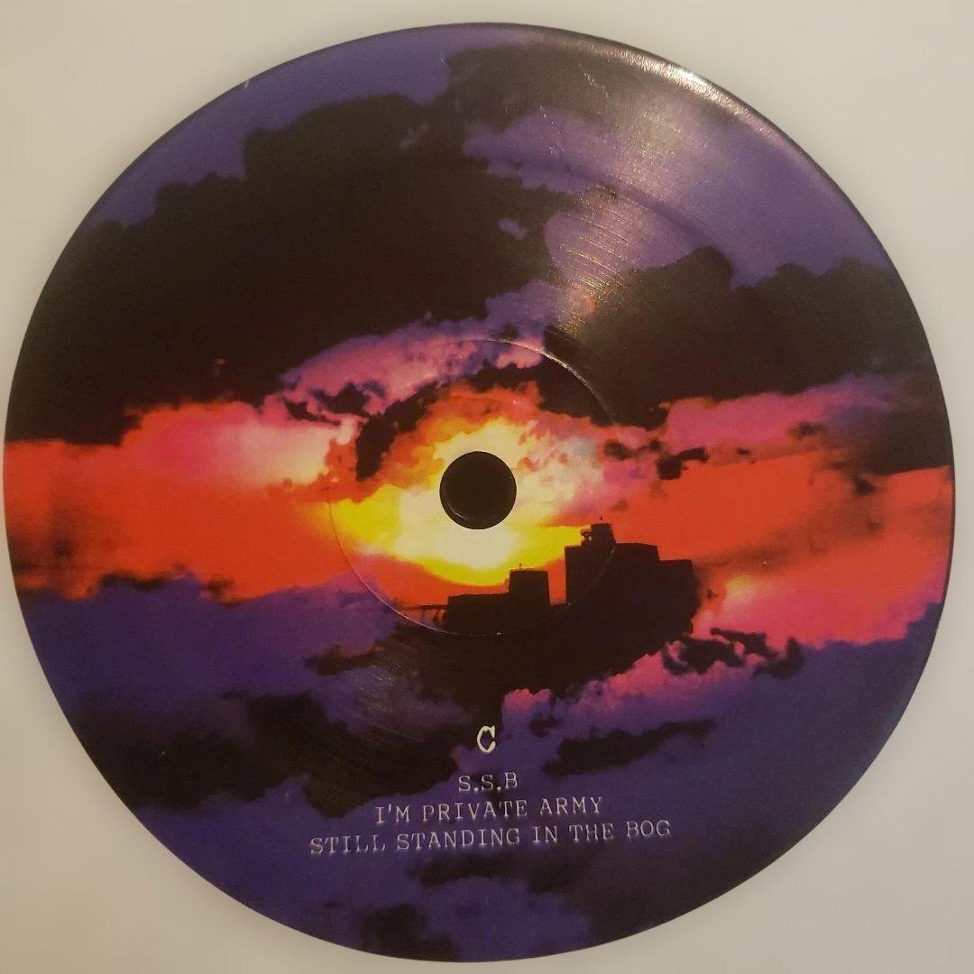 希少 特典7inch付き THA BLUE HERB Sell Our Soul