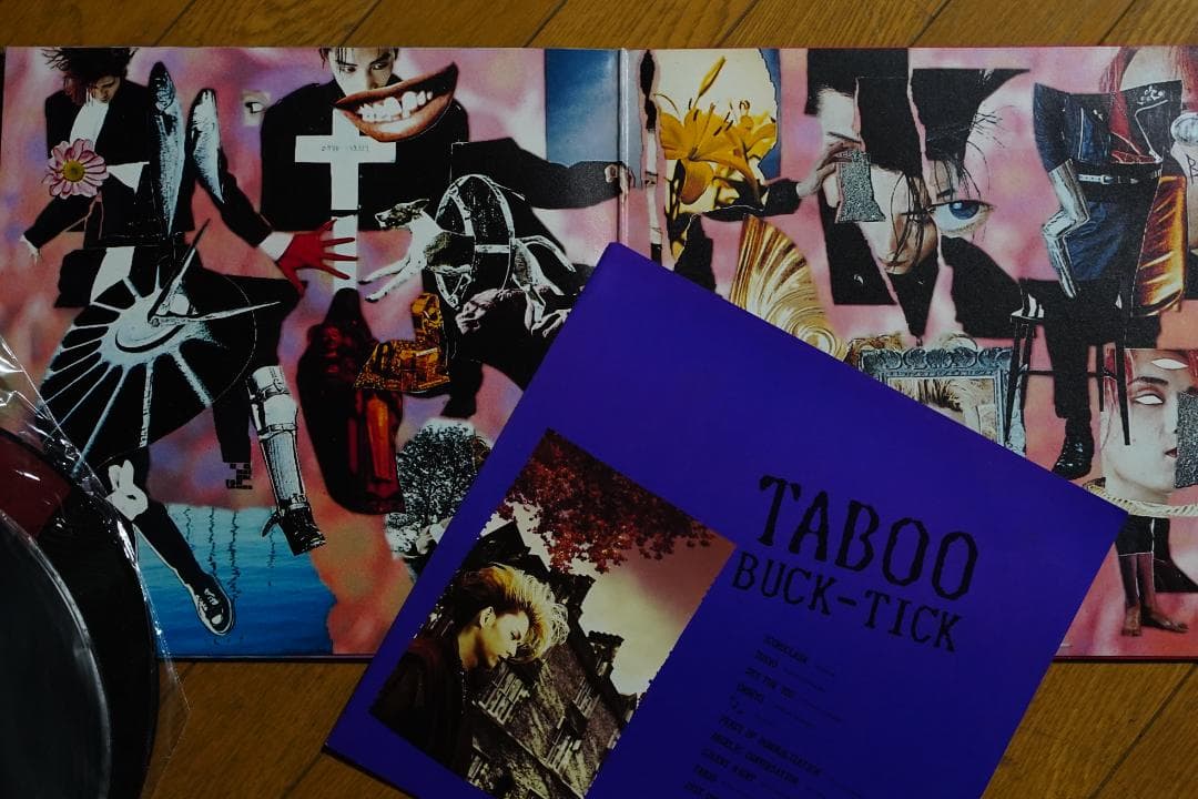 希少 LP レコード BUCK-TICK TABOO ピクチャー盤 タブー