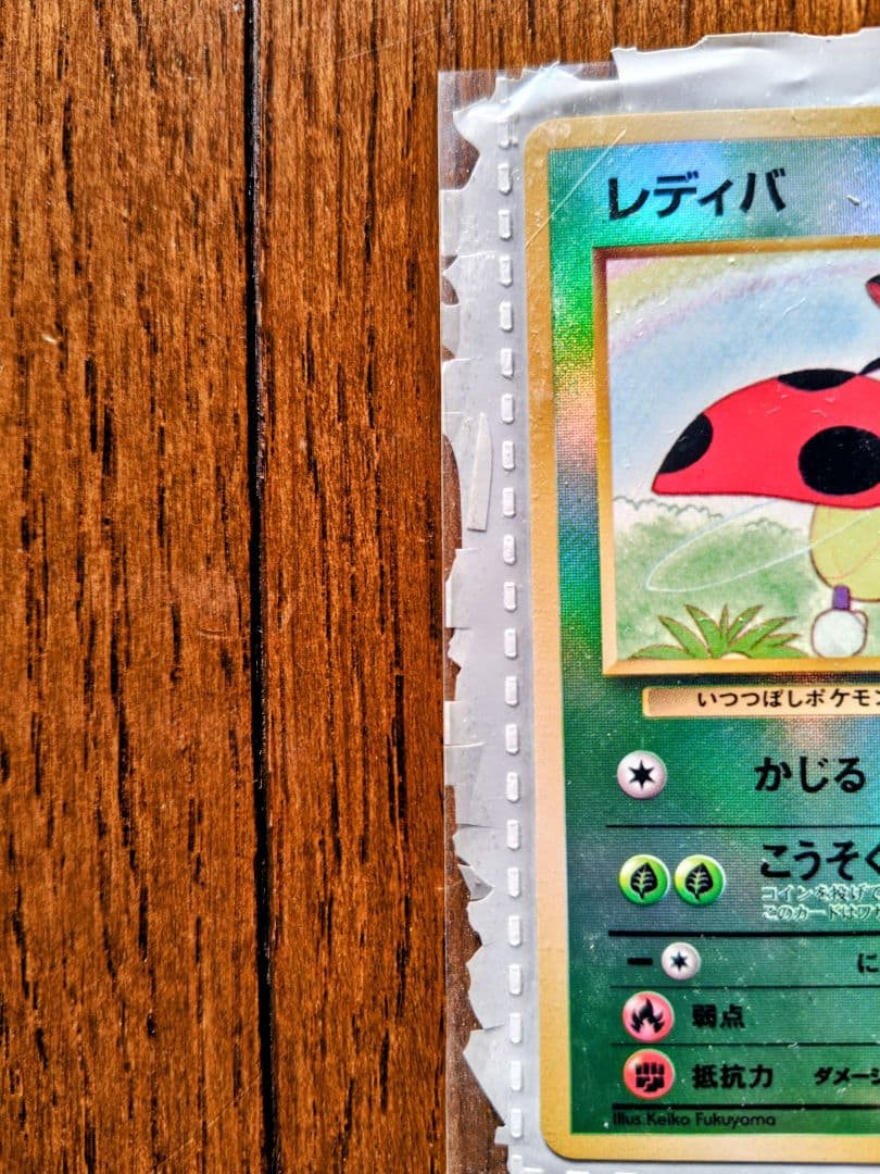 ポケモンカード 旧裏 サザンアイランド レインボーアイランド お花畑