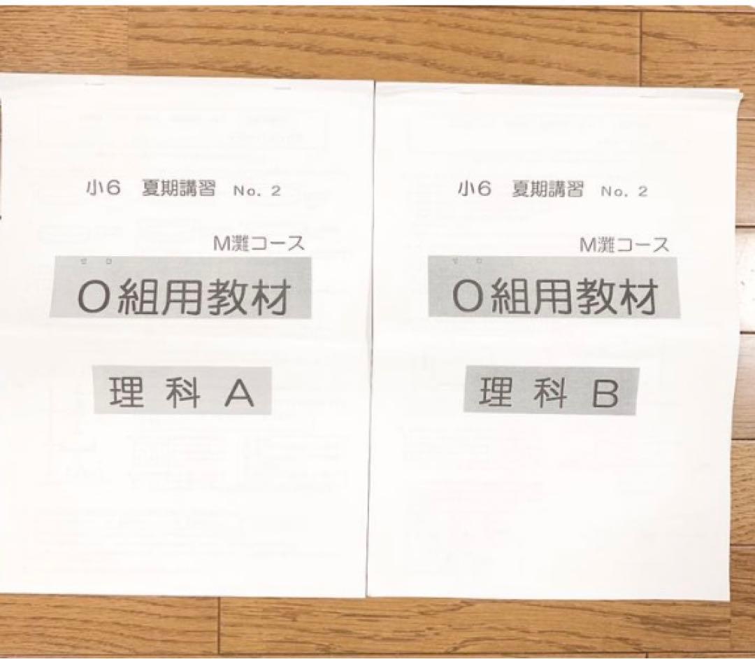 浜学園 小6 夏期講習 理科 M灘コース 0組用教材 テキストまとめ売り