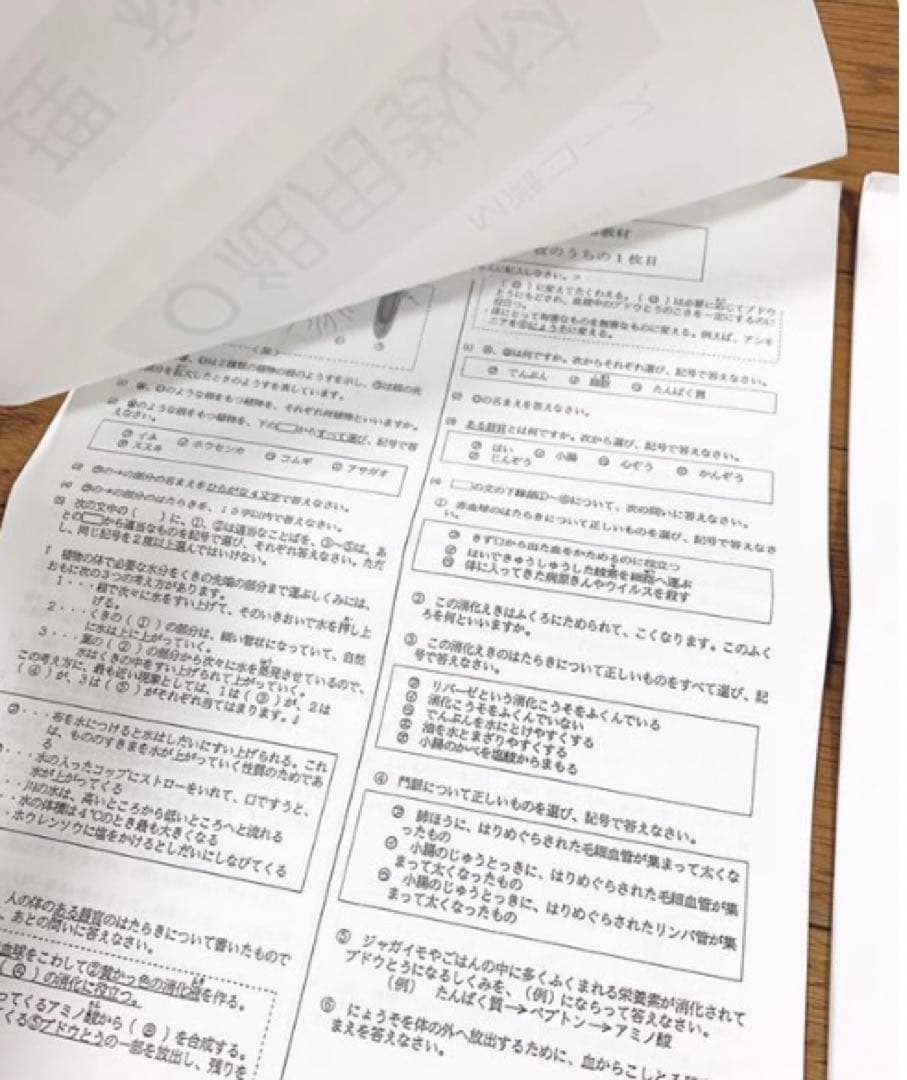 浜学園 小6 夏期講習 理科 M灘コース 0組用教材 テキストまとめ売り