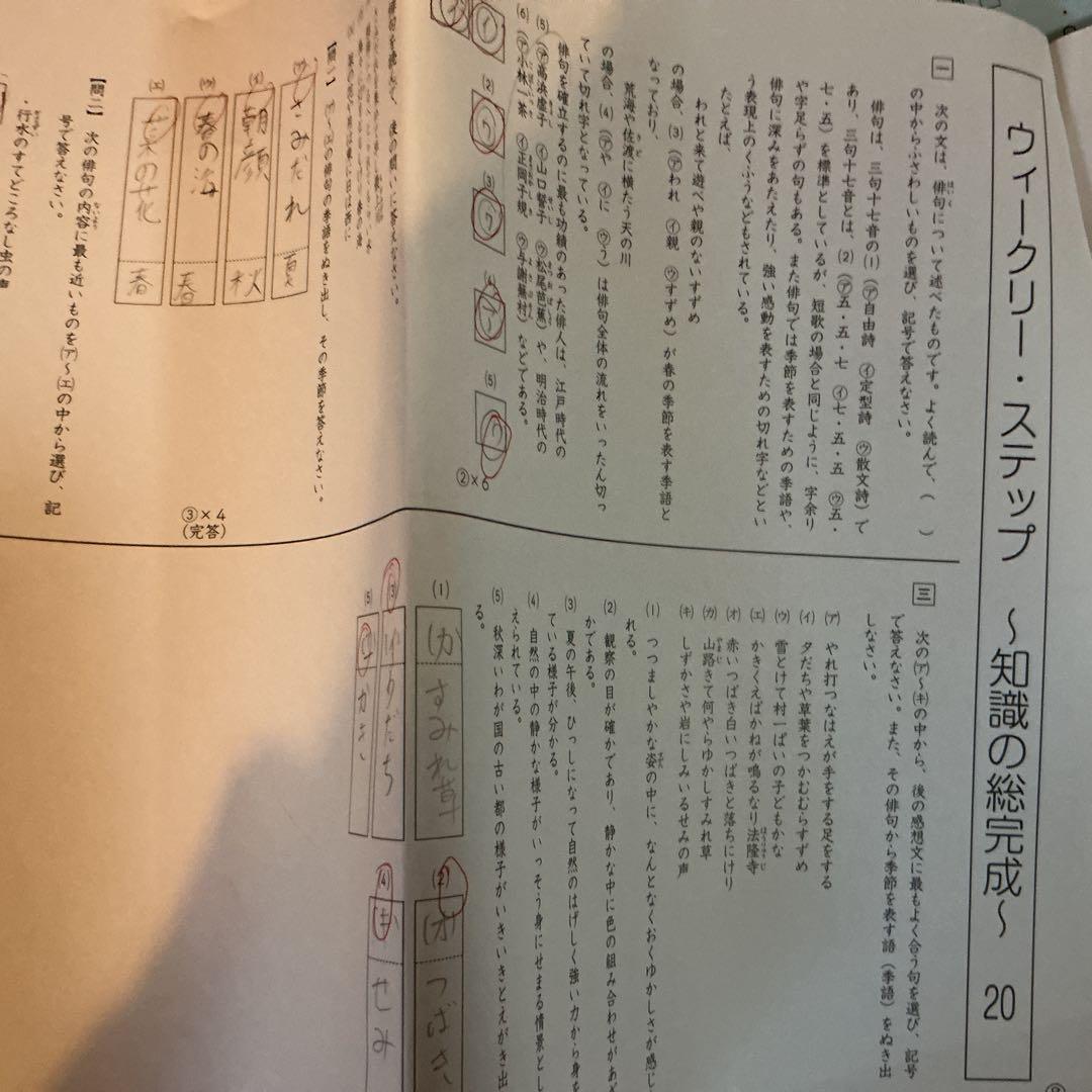 SAPIX 志望校別　特訓　土曜特訓　国語　理科　SS 冬季講習　教材