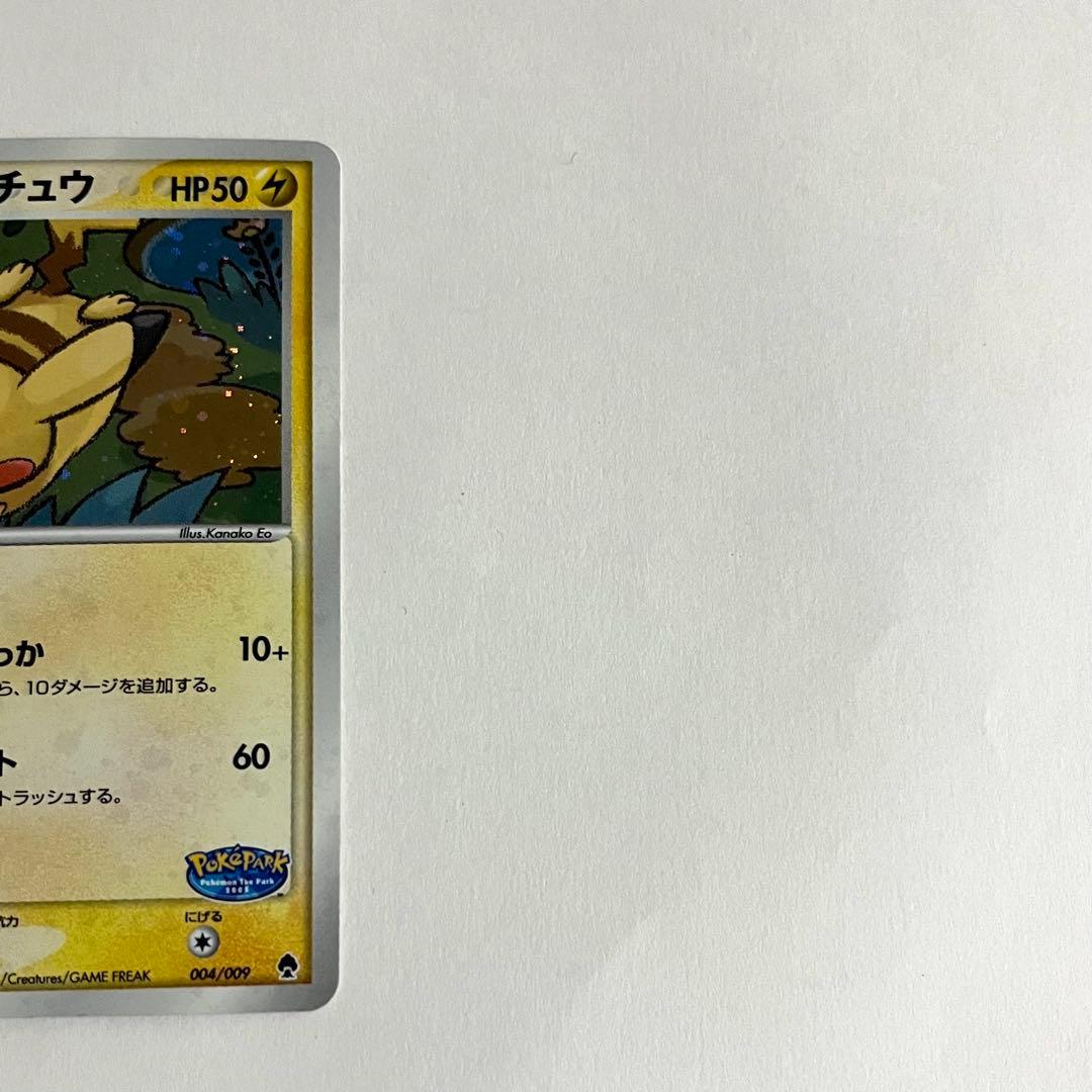 うずまきホロ ポケパークのピカチュウ