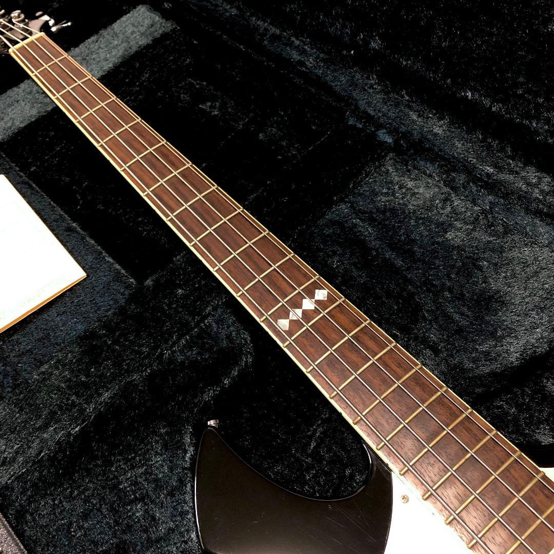 ESP the GazettE REITA RF BASS ガゼット