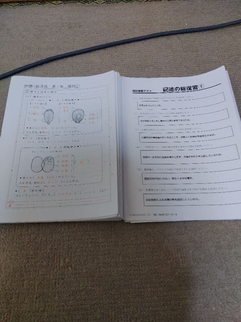 2024 SAPIX 理科 サピックス 小学6年 知識の総完成・記述の総復習
