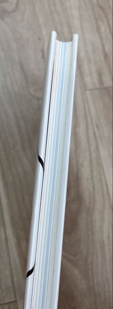 ZWARTE BEERTJES ディック・ブルーナ装丁の仕事　2冊セット