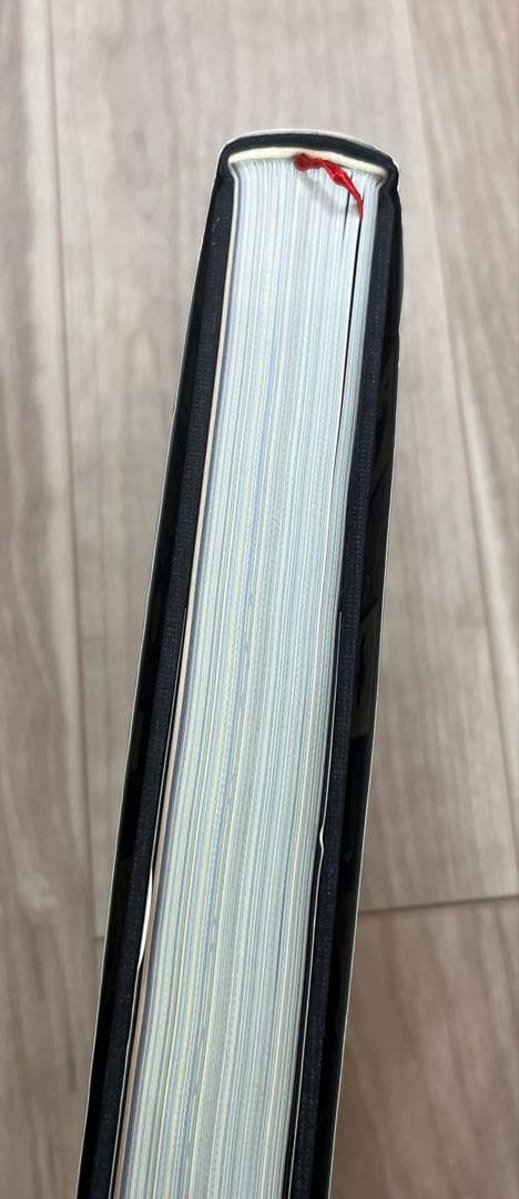 ZWARTE BEERTJES ディック・ブルーナ装丁の仕事　2冊セット