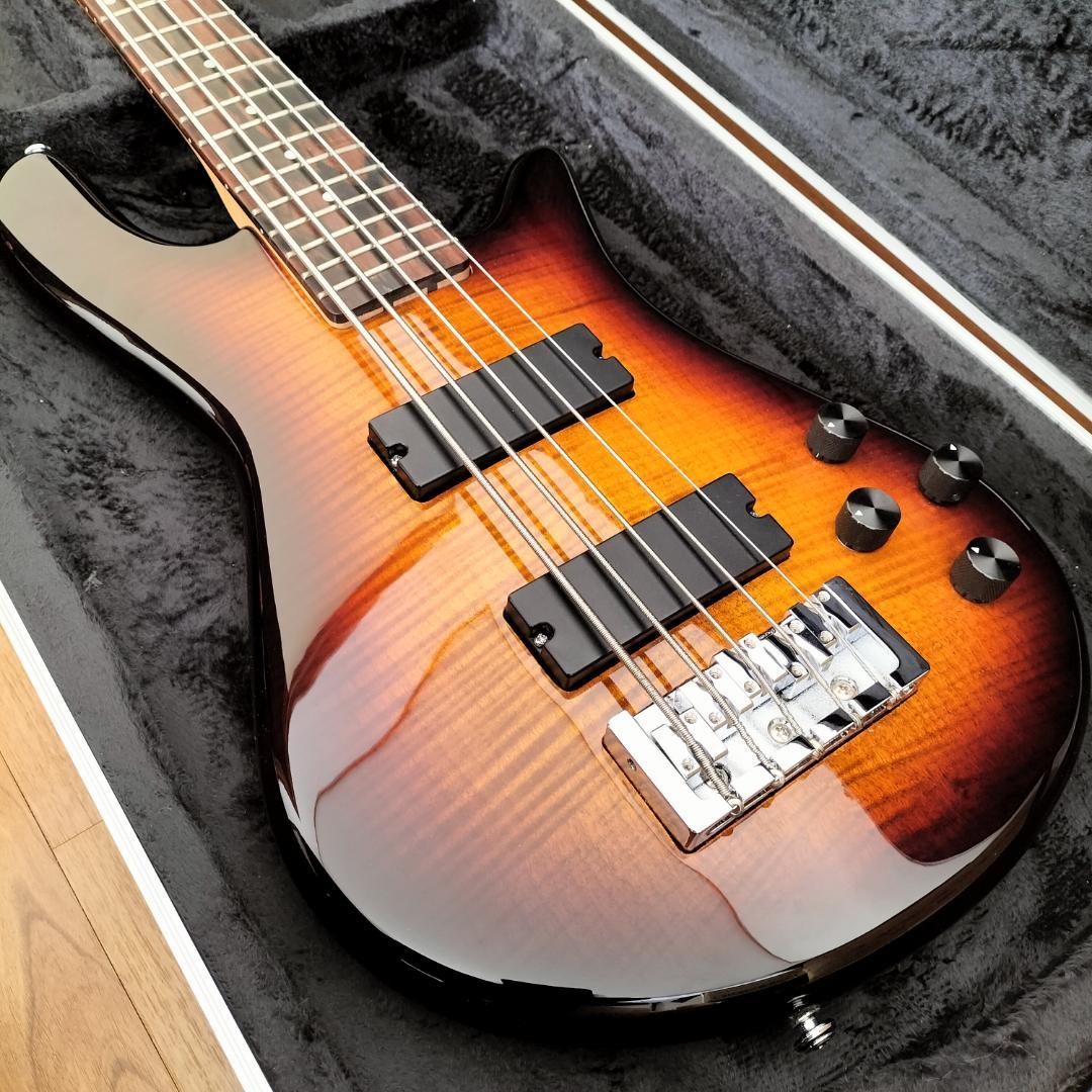 【最終価格】Spector 5弦ベース【美品レア】