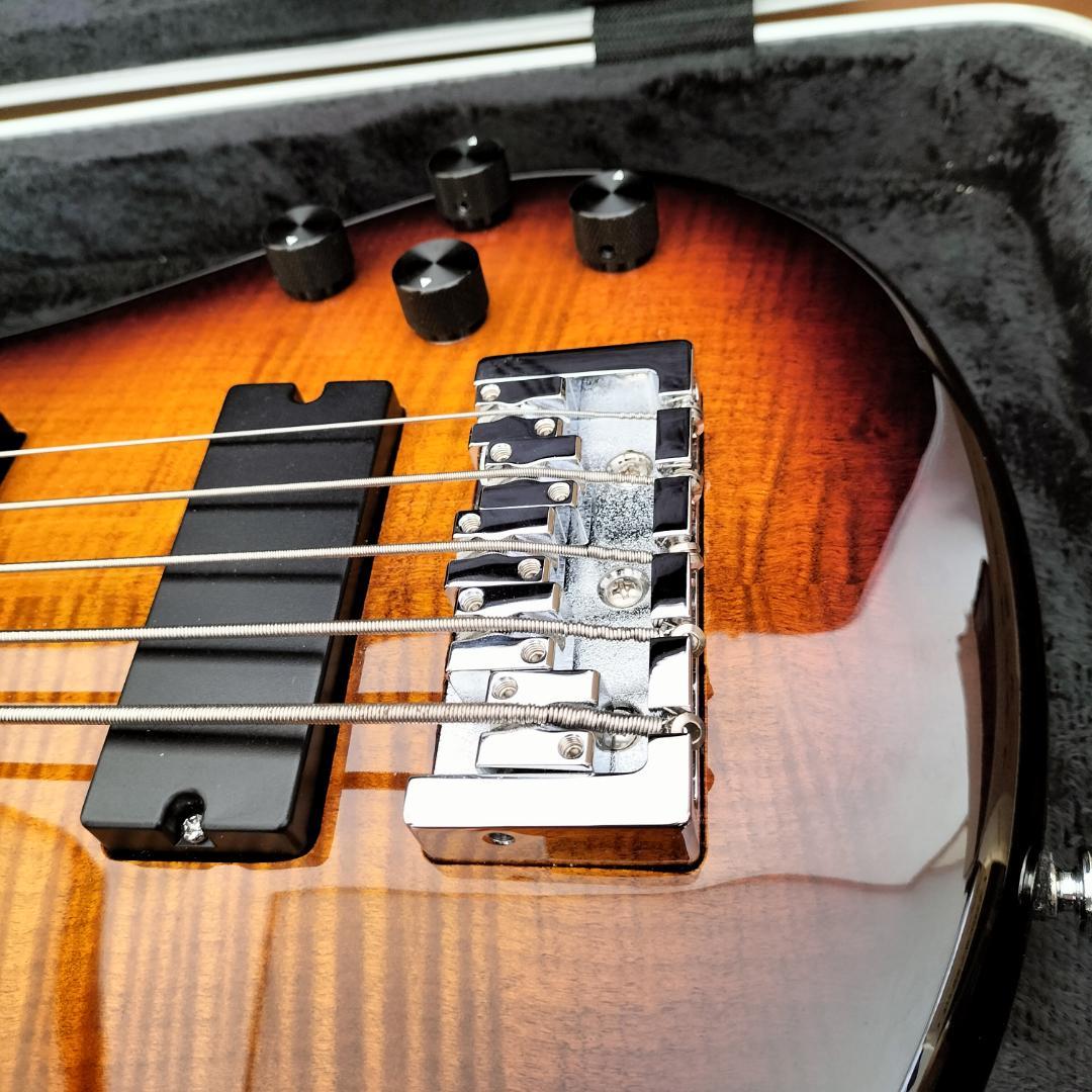 【最終価格】Spector 5弦ベース【美品レア】