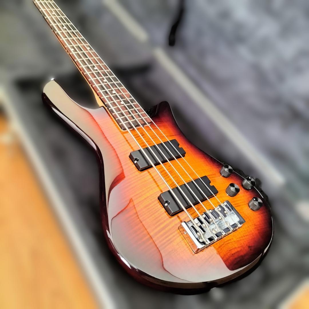 【最終価格】Spector 5弦ベース【美品レア】