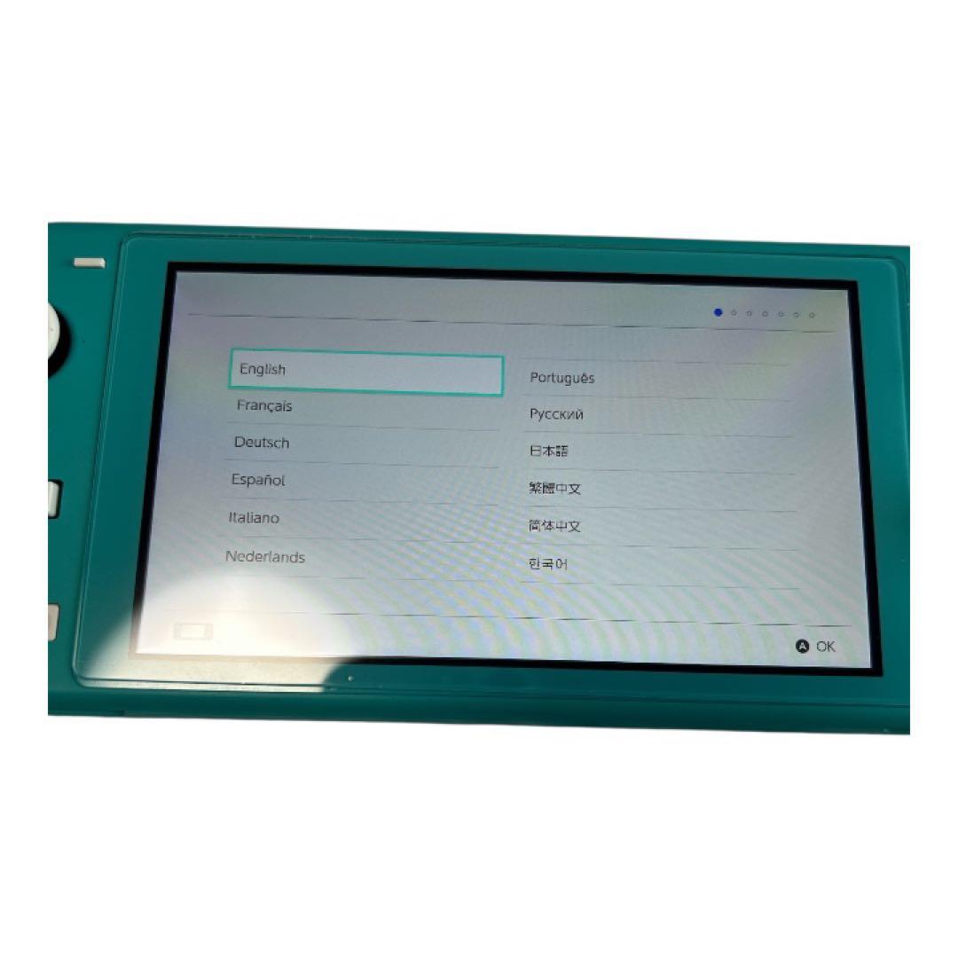 Switch Lite HDH-001 本体 アダプター　ソフトケース付